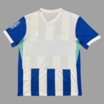 Brighton & Hove Albion Home Fan Jersey 2025/26 - Image 2