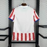 Paraguay Home Jersey 2026 | Premium Quality - immagine 2