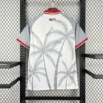Haiti Away Jersey 2026